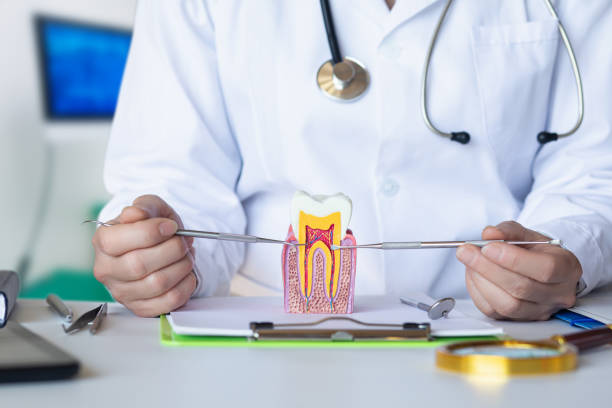 Urgent Tooth Repair in OH